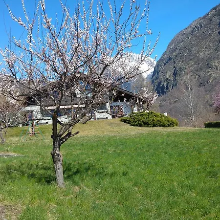 Di Montagna Apartment Gignod